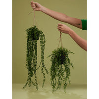 Thumbnail for Emerald Kunstpflanze Ficus Pumila Hängend mit Topf 60 cm