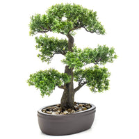 Thumbnail for Emerald Künstliches Mini-Bonsai Ficus in Brauner Schale 43 cm