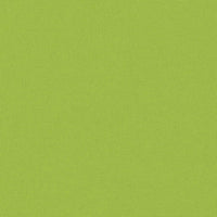 Thumbnail for Gartenkissen 2 Stk. 45 x 45 cm Apfelgrün