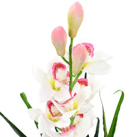 Thumbnail for Künstliche Cymbidium Orchideenpflanze mit Topf 100 cm Grün