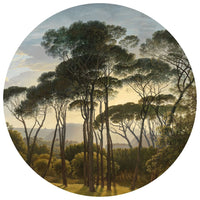 Thumbnail for WallArt Fototapete Umbrella Pines in Italy Rund 142,5 cm