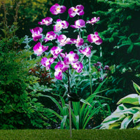 Thumbnail for HI LED-Solar-Orchidee 75 cm