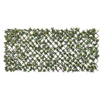 Thumbnail for Nature Rankgitter mit Liguster 90x180 cm Grüne und Gelbe Blätter