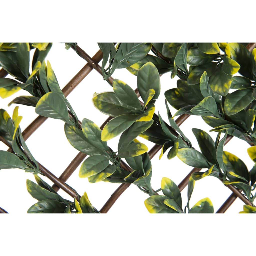 Nature Rankgitter mit Liguster 90x180 cm Grüne und Gelbe Blätter