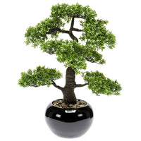 Thumbnail for Emerald Kunstpflanze Bonsai Ficus Grün 47 cm 420006