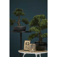 Thumbnail for Emerald Kunstpflanze Bonsai Ficus Grün 47 cm 420006
