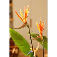 Thumbnail for Emerald Künstliche Pflanze Strelitzia im Topf mit Blumen 120 cm