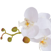 Thumbnail for Künstliche Orchidee mit Topf 65 cm Weiß
