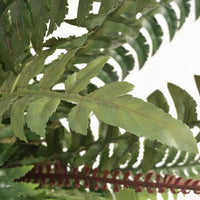 Thumbnail for Künstliche Farnpflanze mit Topf 60 cm Grün