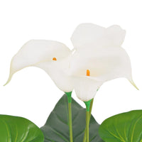 Thumbnail for Künstliche Calla-Lilie mit Topf 45 cm Weiß