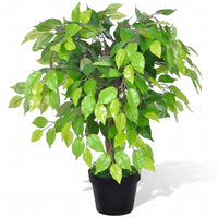 Thumbnail for Künstlicher Zwerg-Ficus mit Topf 60 cm