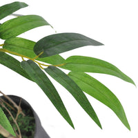 Thumbnail for Künstlicher Bambusbaum 