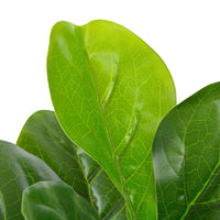 Thumbnail for Künstliche Pflanze Geigen-Feige mit Topf Grün 90 cm