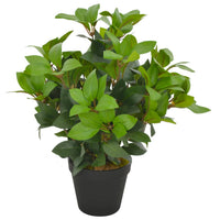 Thumbnail for Künstliche Pflanze Lorbeerbaum mit Topf Grün 40 cm