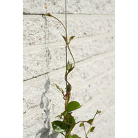 Thumbnail for Nature Rankseil-Sets für Kletterpflanzen 2 Stk.