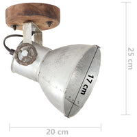Thumbnail for Wand-/Deckenlampen Industriestil 2 Stk. Silbern 20x25 cm E27