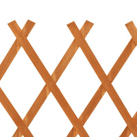 Thumbnail for Garten-Rankzaun Orange 120x90 cm Massivholz Tanne