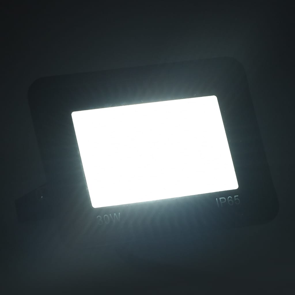 LED-Fluter 30 W Kaltweiß