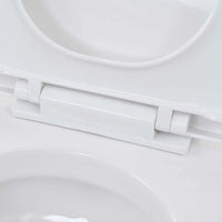 Thumbnail for Hänge-Toilette mit Unterputzspülkasten Keramik